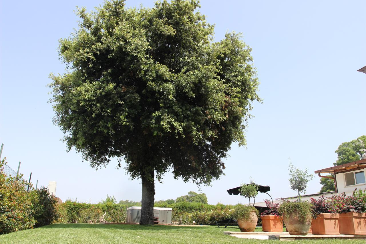 Love & Fama Hotel Sabaudia Dış mekan fotoğraf